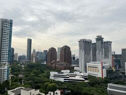 The Suites At Central (D9), Condominium #396332901